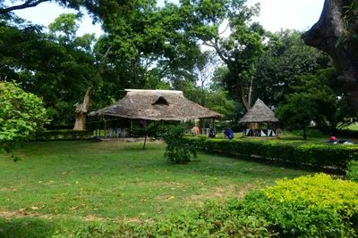 DSC_7860 (Large).JPG